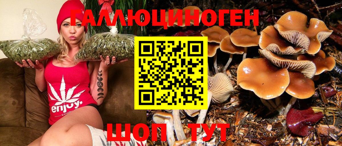 Псилоцибиновые грибы ЛСД Чехов