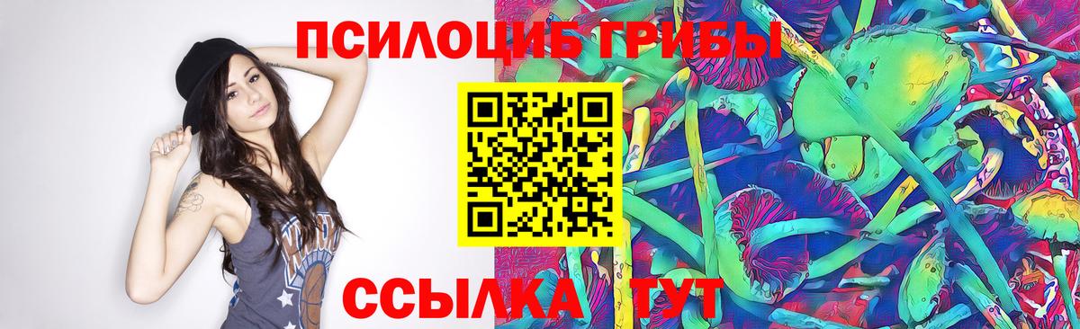 Псилоцибиновые грибы GOLDEN TEACHER  Вход с VPN  Чехов 