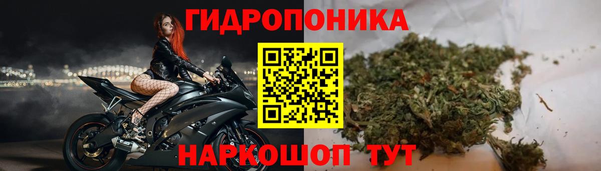 Шишки марихуана VHQ  Шишки марихуана план  Вход с VPN  Канабис MAZAR  Чехов 